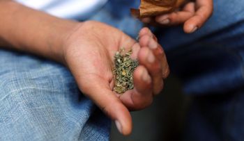 Dos muertes y 54 casos de hemorragia severa relacionados con una marihuana sintética en EE.UU.