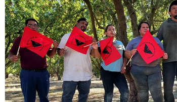 Pizcadores de tomate logran mejoras laborales en California