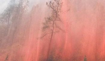 Incendio fuera de control en California comienza a quemar parque de Yosemite