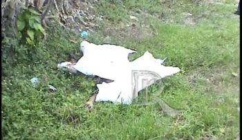 Se llamaba Oscar Castillo, chofer encontrado muerto