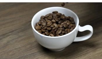 ¿Cuánto café es saludable tomar al día?