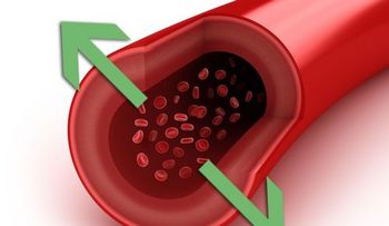 4 forma para disminuir la presión arterial con jengibre