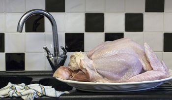 CDC en EE.UU sugiere no lavar el pollo antes de cocinarlo