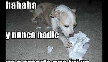 â??Mi perro se comió mi tareaâ?