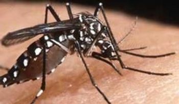 Joven de 21 años muere por dengue en Bonao