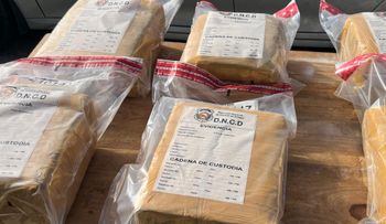 Ocupan 140 paquetes de marihuana en operativos en AILA y Barahona
