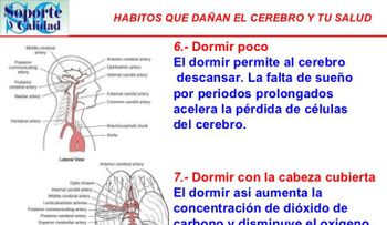 Habitos que dañan el cerebro