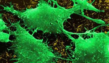 La fusión de células puede provocar procesos cancerígenos