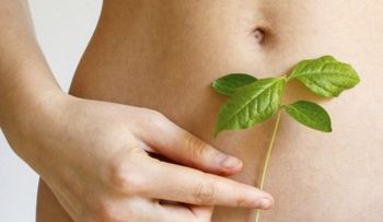 5 alimentos para repoblar la flora intestinal