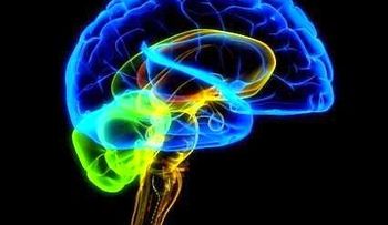 La Enfermedad Inflamatoria Intestinal se camuflajea y hace difícil su detección