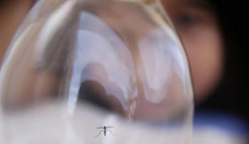 República Dominicana reporta 30 muertes a causa del dengue en lo que va del año