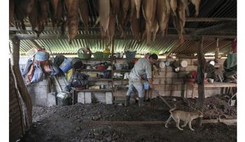 Pisos de tierra revelan pobreza en Guatemala