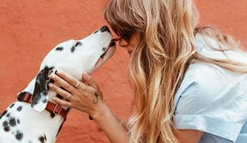 Confirman enfermedad de perro que se contagia a los humanos