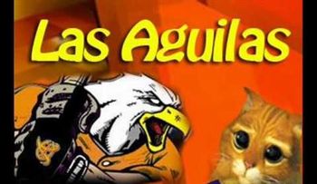 La filosofía de ser un aguilucho