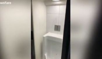 "Fui al baño de un restaurant, pero ¿cómo?, esto es una nevera!", sorprendido de su extravagante diseño