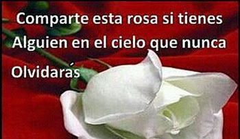 Rosas para el alma  ¡¡¡Olvidarás!!!