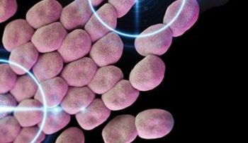 Detectan proteínas en bacterias que combaten la resistencia a antibióticos