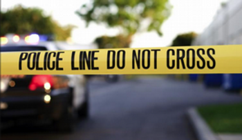 Disminuyen los homicidios en Nueva York a 290