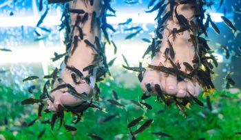 Una mujer pierde las uñas del pie tras una pedicura de peces
