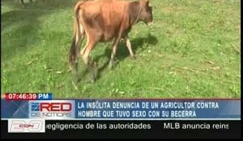 Un agricultor se enfurece porque hombres violan su becerra 