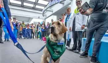 Una perra da afecto a pacientes en rehabilitación de un hospital de Florida