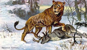 Científicos rusos podrían revivir al león cavernario extinto hace 10.000 años