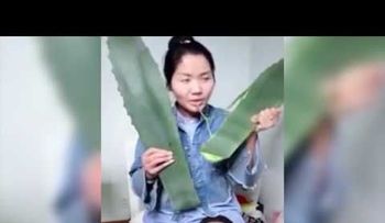 Come una planta durante una transmisión en vivo y descubre que es venenosa