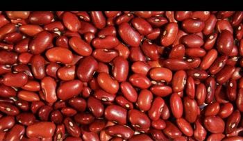 Una eficaz receta para la anemia (Video)