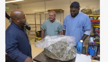 David Ortiz revela que fuma marihuana desde que dejó de jugar béisbol 