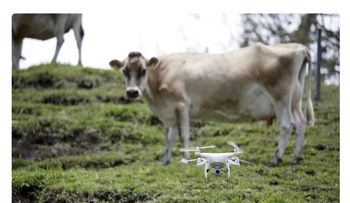 Drones impulsan productividad agrícola en Costa Rica