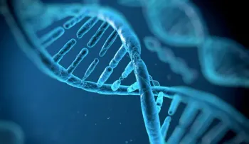 Los genes no lo son todo en la herencia