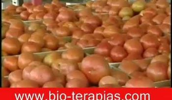 Como sacar los parásitos del cuerpo