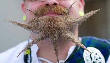 El récord de bigotes (VIDEO)