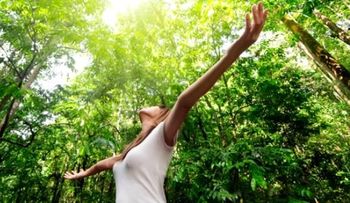 Conozca la receta de la felicidad absoluta