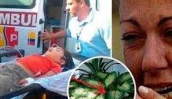 Mi hijo murió envenenado por esta planta: ¡Es urgente que los sepan!