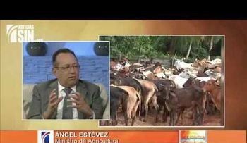 Ministro de Agricultura: estamos al borde de erradicar la mosca del mediterráneo