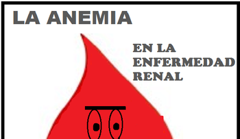 Tipos de anemia en función de su origen