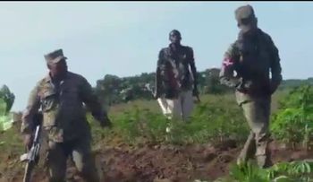 Haitiano con machete amenaza a dos militares; lárguense, buenos M"...