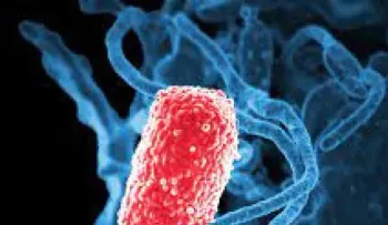 Resistencia de bacterias a la meticilina surgió de modo natural hace 200 años