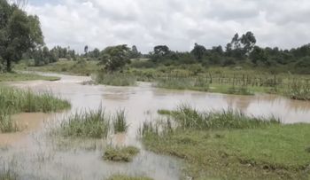 Descubren gigantesca reserva de agua en África abastecería más de 100 millones de personas