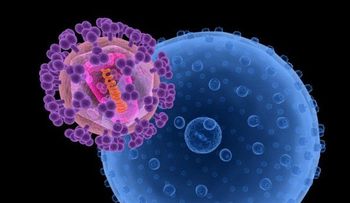 Crean crema vaginal que impide la transmisión del VIH