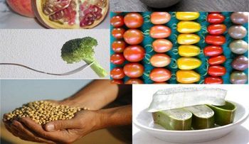 Alimentos funcionales contra el cáncer 