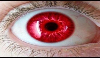 5 ojos más raros del mundo y son muy hermosos