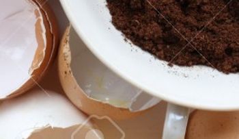 Cáscara de huevo y café: la combinación perfecta