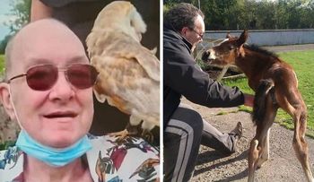 Hombre que sobrevivió de un cáncer, muere por picotazo de una gallina