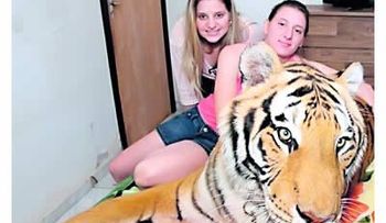 Video: una familia en Brasil vive con siete tigres
