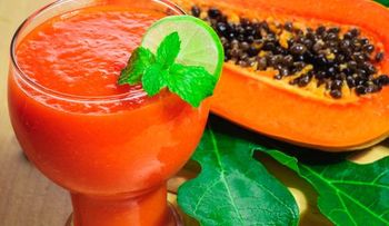 Intestino delgado: importancia y cómo cuidarlo
