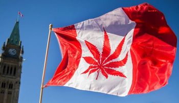 Inmensas colas en Canadá en  primeros días de venta y de consumo legal de marihuana