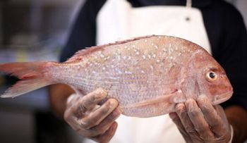 11 Alimentos contra el estrés