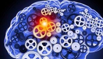 20 ejercicios para ejercitar el cerebro